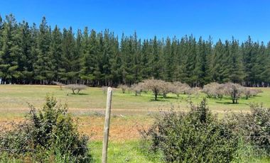 Fundo Pailimo/Fundo Pailimo - Sitio - Venta