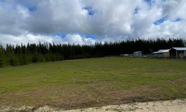 Fundo Pailimo/Fundo Pailimo - Sitio - Venta