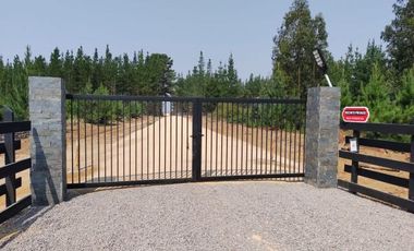 Fundo Pailimo/Fundo Pailimo - Sitio - Venta