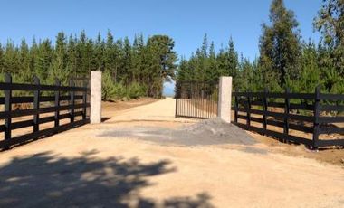 Fundo Pailimo/Fundo Pailimo - Sitio - Venta