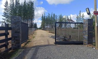 Fundo Pailimo/Fundo Pailimo - Sitio - Venta