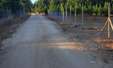 Fundo Bosques de Pailimo/Fundo Bosques de Pailimo - Parcela - Venta