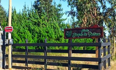 Fundo Bosques de Pailimo/Fundo Bosques de Pailimo - Parcela - Venta