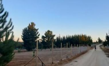 Fundo Bosques de Pailimo/Fundo Bosques de Pailimo - Parcela - Venta