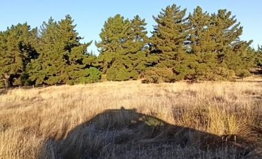 Fundo Bosques de Pailimo/Fundo Bosques de Pailimo - Parcela - Venta