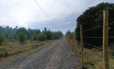 La Puntilla/La puntilla - Parcela - Venta