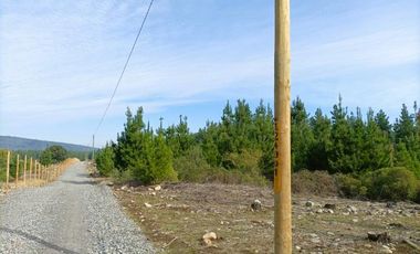 La Puntilla/La puntilla - Parcela - Venta