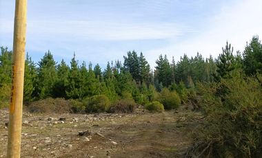 La Puntilla/La puntilla - Parcela - Venta