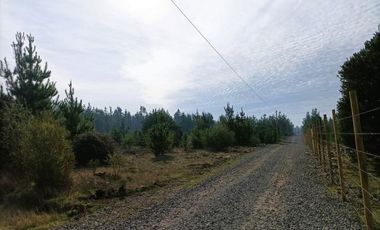 La Puntilla/La puntilla - Parcela - Venta