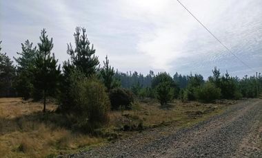 La puntilla/La Puntilla - Parcela - Venta