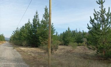 La puntilla/La Puntilla - Parcela - Venta