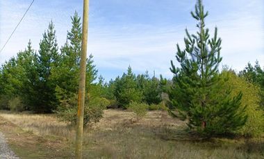 La Puntilla/La Puntilla - Parcela - Venta