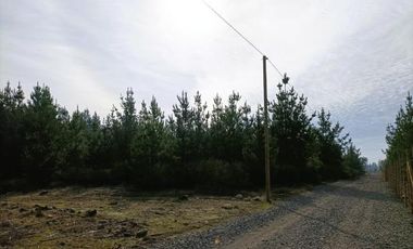 La Puntilla/La Puntilla - Parcela - Venta