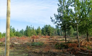 La Puntilla/La Puntilla - Parcela - Venta