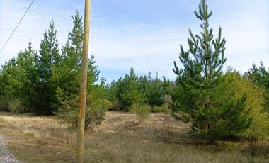 La Puntilla/La Puntilla - Parcela - Venta