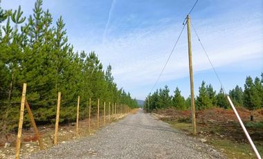 La Puntilla/La Puntilla - Parcela - Venta