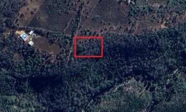 Sector los  Treiles/Camino las 7 tazas - Parcela - Venta