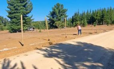 Fundo bosques de Pailimo/Fundo bosques de Pailimo - Parcela - Venta