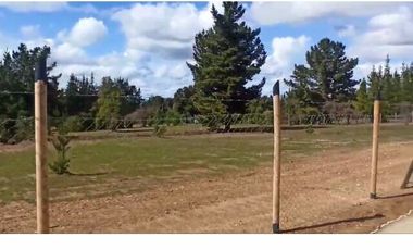 Fundo bosques de Pailimo/Fundo bosques de Pailimo - Parcela - Venta