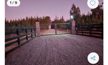 Fundo bosques de Pailimo/Fundo bosques de Pailimo - Parcela - Venta