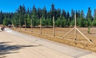 Fundo bosques de Pailimo/Fundo bosques de Pailimo - Parcela - Venta