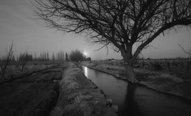 Finca en Venta en Bowen, General Alvear, Mendoza