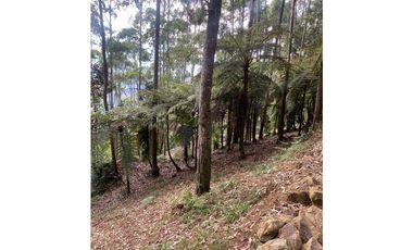 SE VENDE LOTE EN CALDAS