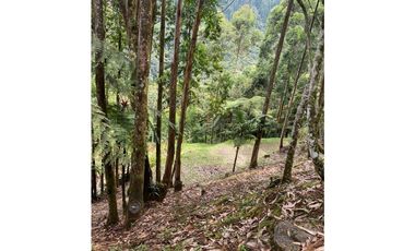 SE VENDE LOTE EN CALDAS