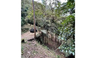 SE VENDE LOTE EN CALDAS