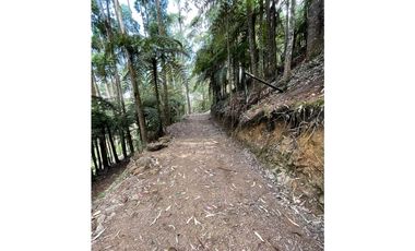 SE VENDE LOTE EN CALDAS
