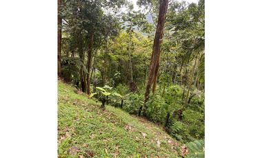 SE VENDE LOTE EN CALDAS
