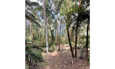 SE VENDE LOTE EN CALDAS