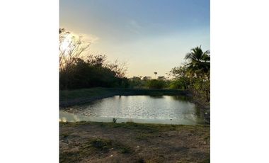 VENTA DE CASA FINCA EN EL CORREGIMIENTO DE SABANAL - MONTERIA