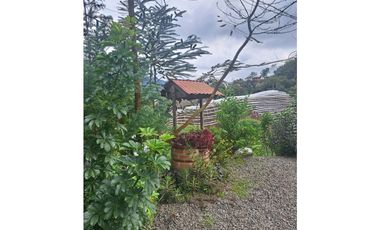 Finca para la venta en sector de la Postrera, Santa Rosa de Cabal!
