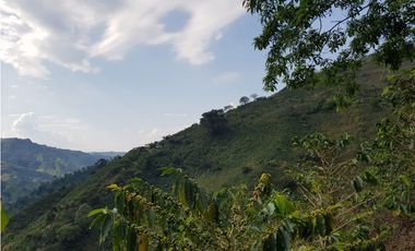 Finca para la venta en la via Santa Rosa de Cabal - El Manzanillo!!!