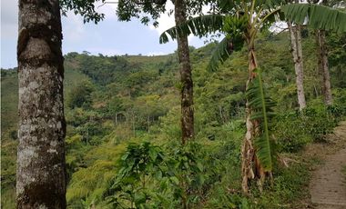 Finca para la venta en la via Santa Rosa de Cabal - El Manzanillo!!!