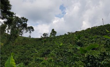 Finca para la venta en la via Santa Rosa de Cabal - El Manzanillo!!!