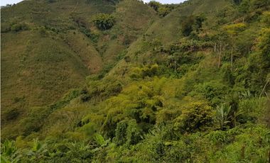 Finca para la venta en la via Santa Rosa de Cabal - El Manzanillo!!!