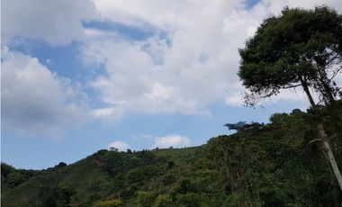 Finca para la venta en la via Santa Rosa de Cabal - El Manzanillo!!!