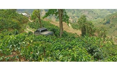 Finca para la venta en la via Santa Rosa de Cabal - El Manzanillo!!!