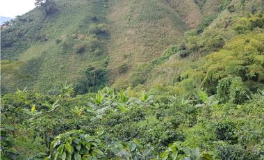 Finca para la venta en la via Santa Rosa de Cabal - El Manzanillo!!!