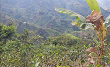 Finca para la venta en la via Santa Rosa de Cabal - El Manzanillo!!!
