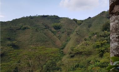 Finca para la venta en la via Santa Rosa de Cabal - El Manzanillo!!!