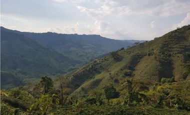 Finca para la venta en la via Santa Rosa de Cabal - El Manzanillo!!!