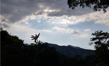 Finca para la venta en la via Santa Rosa de Cabal - El Manzanillo!!!