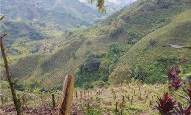 Finca para la venta en la via Santa Rosa de Cabal - El Manzanillo!!!