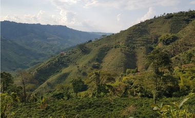 Finca para la venta en la via Santa Rosa de Cabal - El Manzanillo!!!