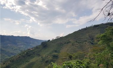 Finca para la venta en la via Santa Rosa de Cabal - El Manzanillo!!!