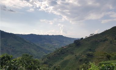 Finca para la venta en la via Santa Rosa de Cabal - El Manzanillo!!!