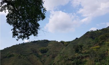 Finca para la venta en la via Santa Rosa de Cabal - El Manzanillo!!!